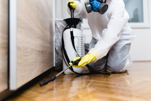 Best Cockroach Control Services  in Cheshire Village, CT