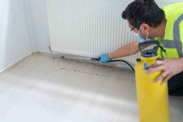 Best Best Pest Control Companies  in Cheshire Village, CT