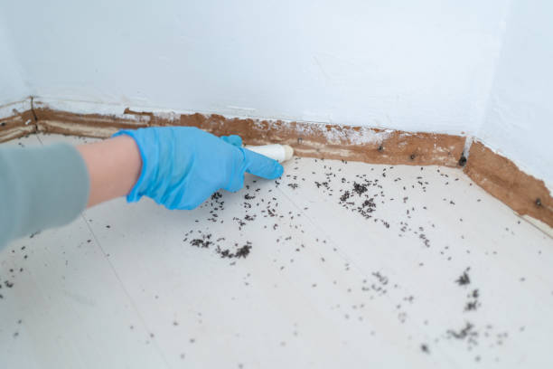 Cheshire Village, CT Pest Control Company